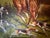 Early 20th Century Original Ferdinand Arnold Oil Painting – English Fox Hunt Scene With Hounds – Traditional Equestrian Decor in Ornate Frame For Sale - Image 11 of 17