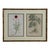 French Antique Trio of Framed Double-Print Renaissance Botanical Wall Art For Sale - Image 3 of 18