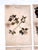 Oversized Antique French Herbarium Specimens – Set of 8 | Original 19th Century Pressed Botanical Collection From Paris For Sale In Buffalo - Image 6 of 17