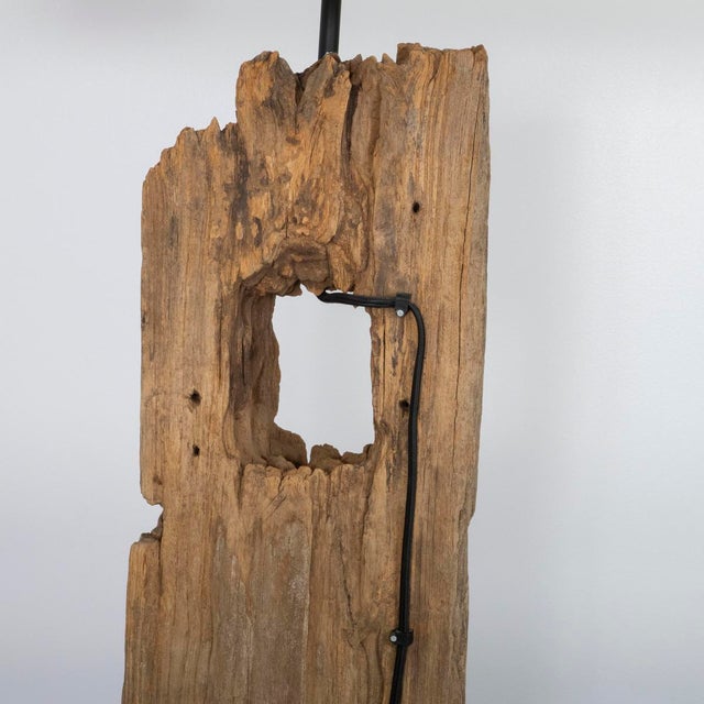 Natural driftwood floor lamp For Sale - Image 12 of 13