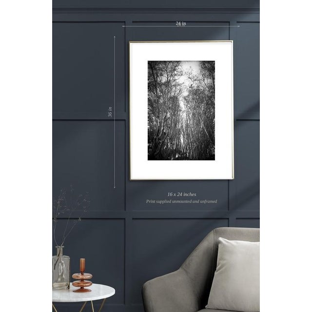 Contemporary Paul Cooklin, Rome Italy 00191, Edition of 50 For Sale - Image 3 of 5