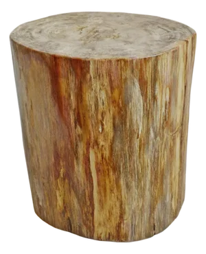 Petrified Stump Vintage Side Table / Stool