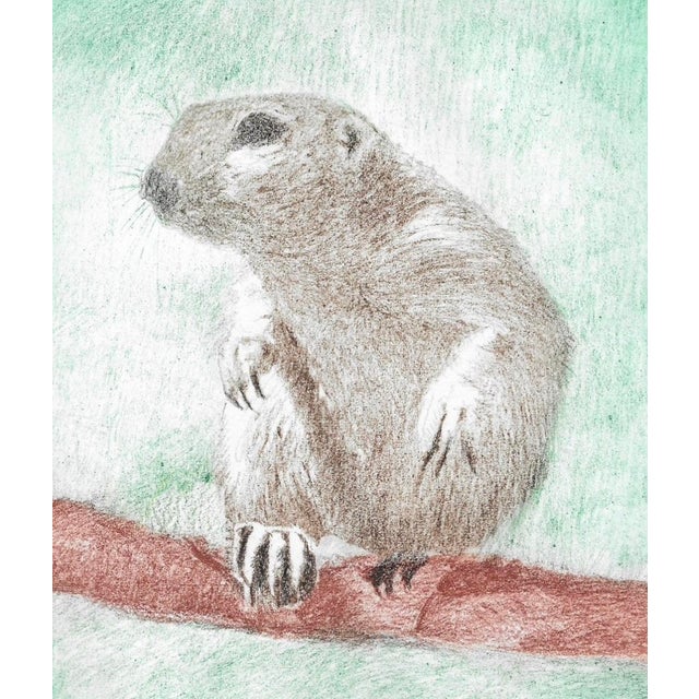 Color etching of a squirrel by artist WJ Graham. Pencil signed, titled and numbered 79 of 400.