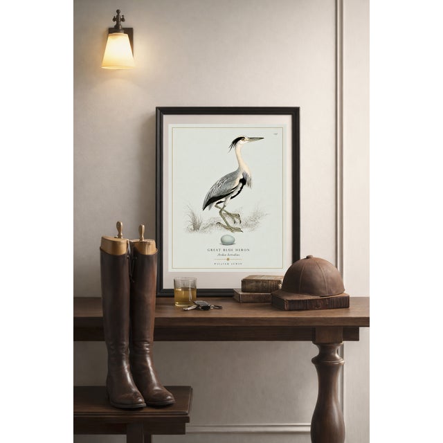 William Lewin 1789 Waterbirds Fine Art Gallery Board Print - The Blue Heron For Sale - Image 4 of 9