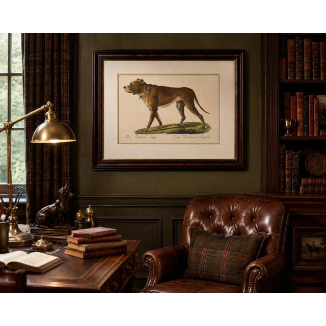 Karl Joseph Brodtmann, Mastiff Dog, 1816, Lithograph For Sale - Image 6 of 9