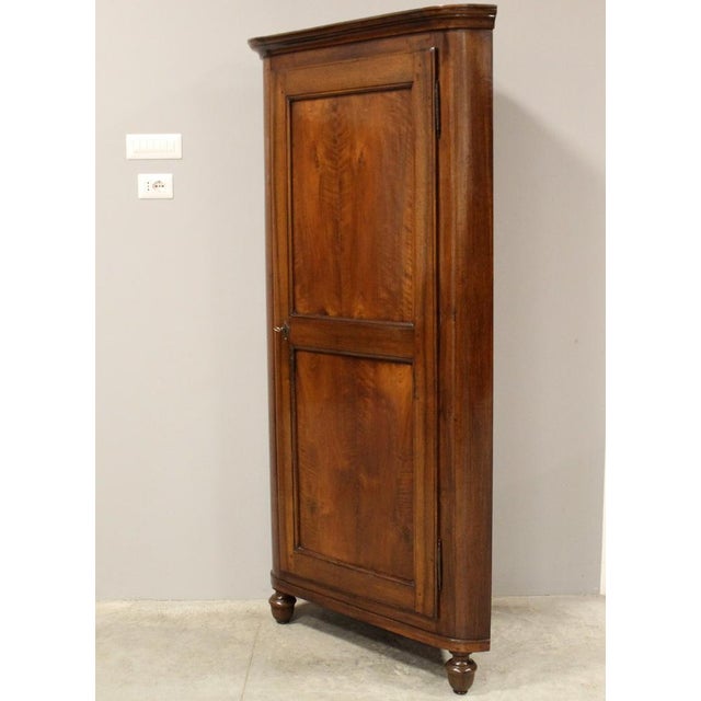 Italian Louis Philippe Corner Cabinet in Walnut For Sale - Image 3 of 15