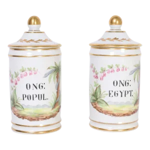Pair of French Porcelain Apothecary Jars