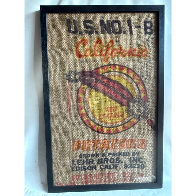 California Red Feather Graphic Americana Art For Sale - Image 6 of 12