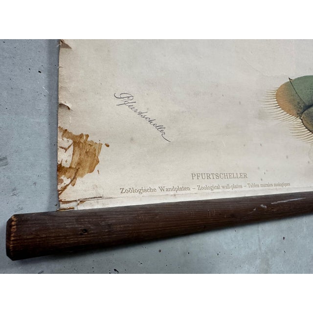 Vintage Periodic Table of the Elements School Chart in Linen by Paul Pfurtscheller, 1920s For Sale - Image 11 of 14