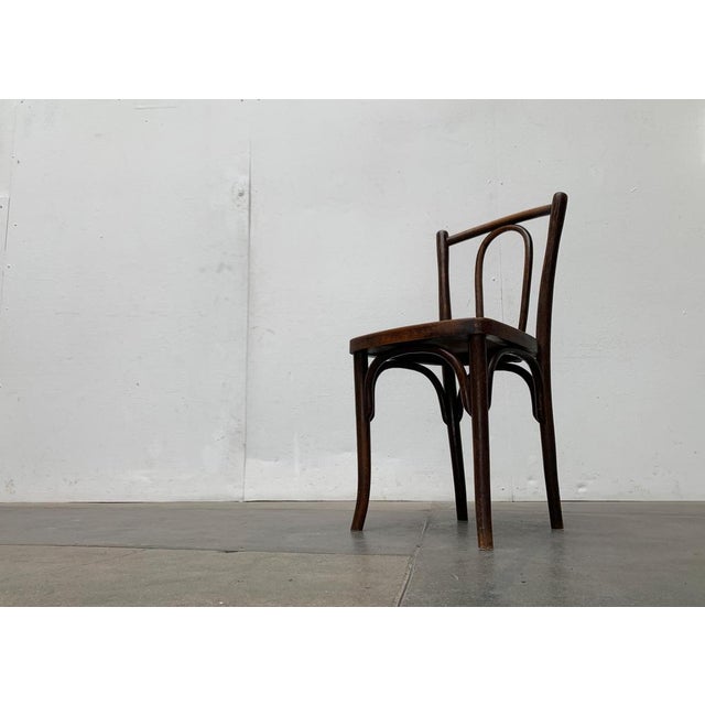 Old Bugholz chair. Unfortunately, the manufacturer is not visible. Probably Thonet/Kohn, Fischel or similar A classic from...