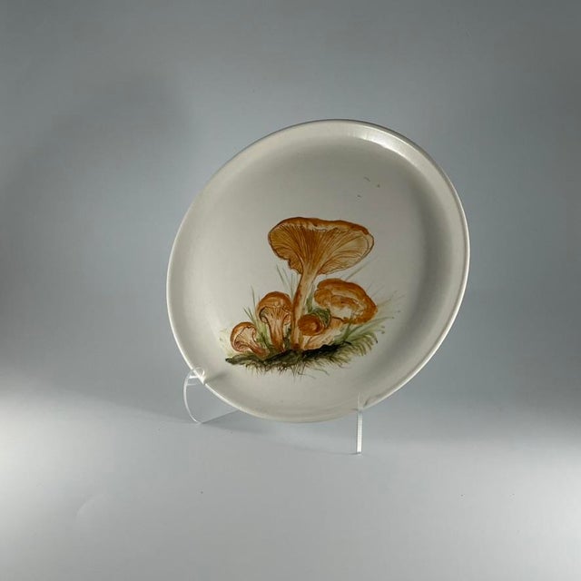 Vintage Hand-Painted Mushroom Plate Set of 9 Italian Ceramic Art, 1970, Set of 9 For Sale - Image 13 of 18