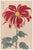 Asian Floral Giclee, Vintage Japanese Red Botanical Art Print, 40" X 60" For Sale