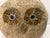 Arts & Crafts Granite Owl For Sale - Image 3 of 4