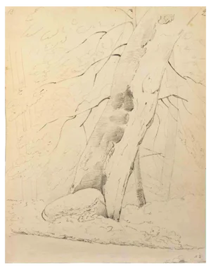 Alphonse Legros, Tree of Life, Drawing, Late, 19th Century