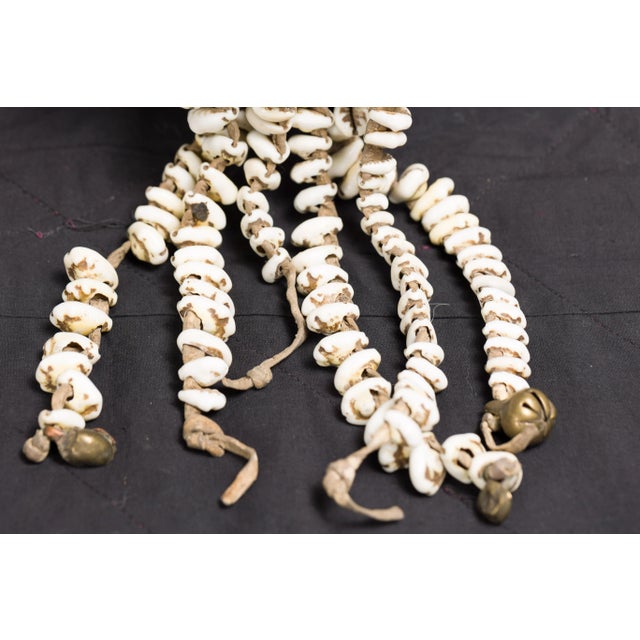 Antique Body Ornament Made of Himalayan Shells Secured to a Brass Buckle For Sale - Image 10 of 12