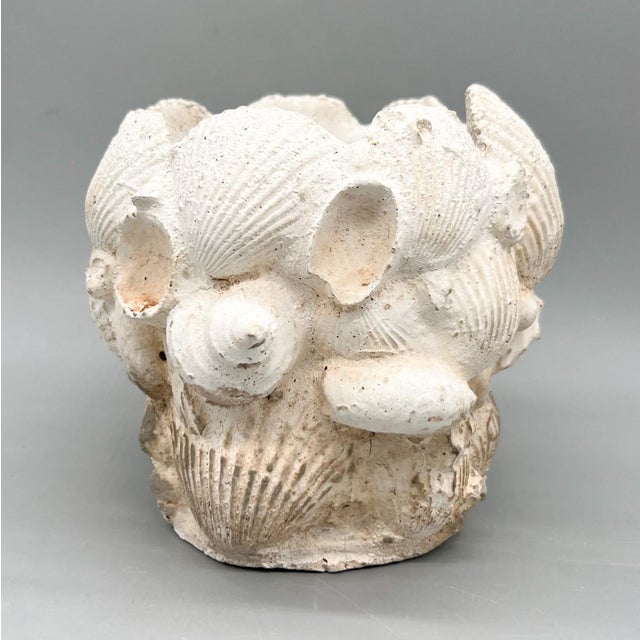Vintage Coquillage Cast Concrete Shell Planter - Coastal, Grotto, Organic Modern, Architectural, European Cottage For Sale - Image 9 of 10