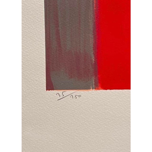 1980s Janusz De Rola, Portrait, 1988, Lithograph For Sale - Image 5 of 7