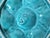 French Mid-Century French Gien Turquoise Aqua Blue-Green Glazed Oyster Plate For Sale - Image 3 of 7