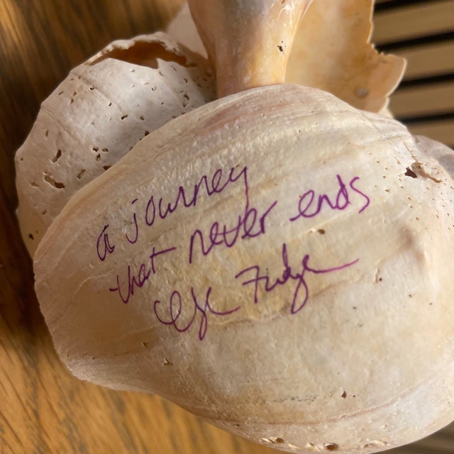 Signed Cheryl Fudge Organic Shell Sculpture — Coastal Modern Abstract, Nantucket For Sale - Image 4 of 5