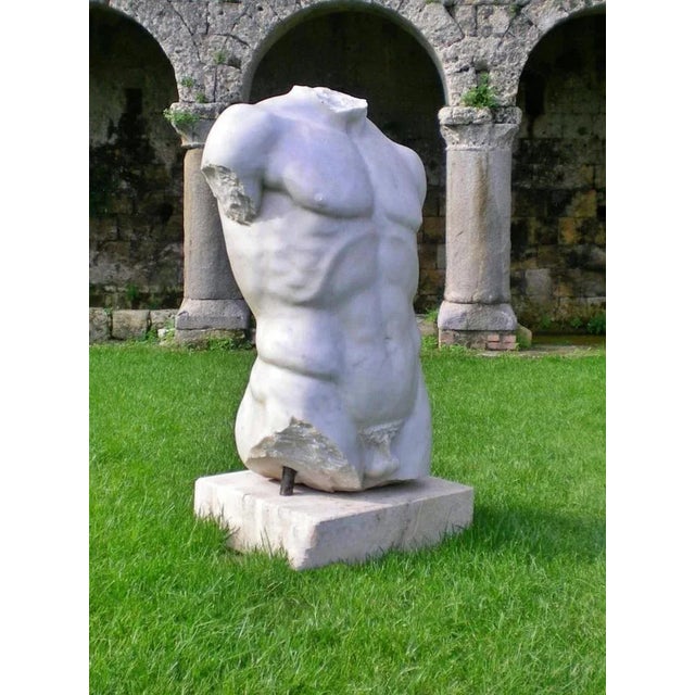 Early 20th Century Italian Torso Carrara Marble For Sale - Image 3 of 6