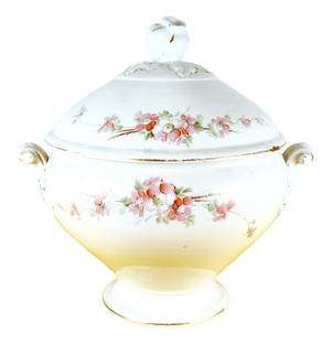 Soup Tureen with Floral Decorations from Ginori