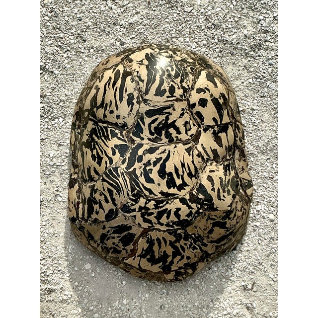 Vintage Boho Artisanal Pigmented Plaster Turtle Shell For Sale - Image 12 of 12