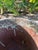 Vintage Volcanic Glaze Terracotta Garden Planters, Pair For Sale - Image 12 of 12