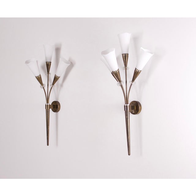 Baroque Arum Wall Lights from Maison Lunel, 1950s, Set of 2 For Sale - Image 3 of 12