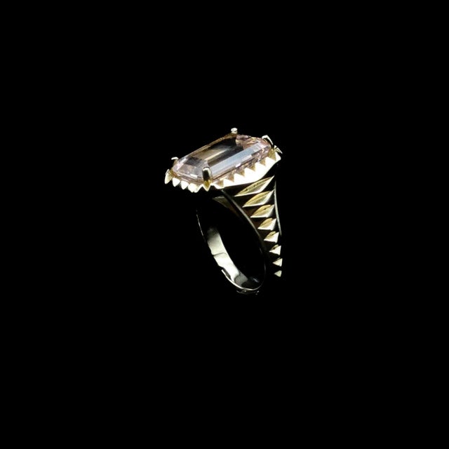 Not Yet Made - Made To Order Liza Ring by Anjalé Size 11 For Sale - Image 5 of 6