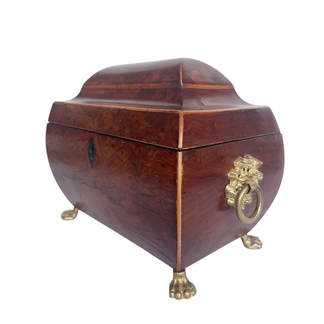 An exceptional English regency tea caddy crafted from beautifully figured burr yew wood, showcasing dramatic swirling...