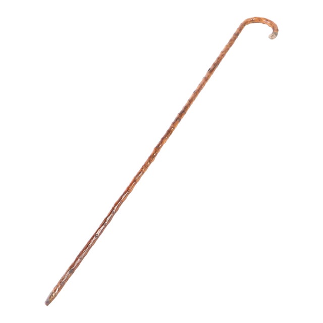 Silver Tipped Walking Cane Chairish