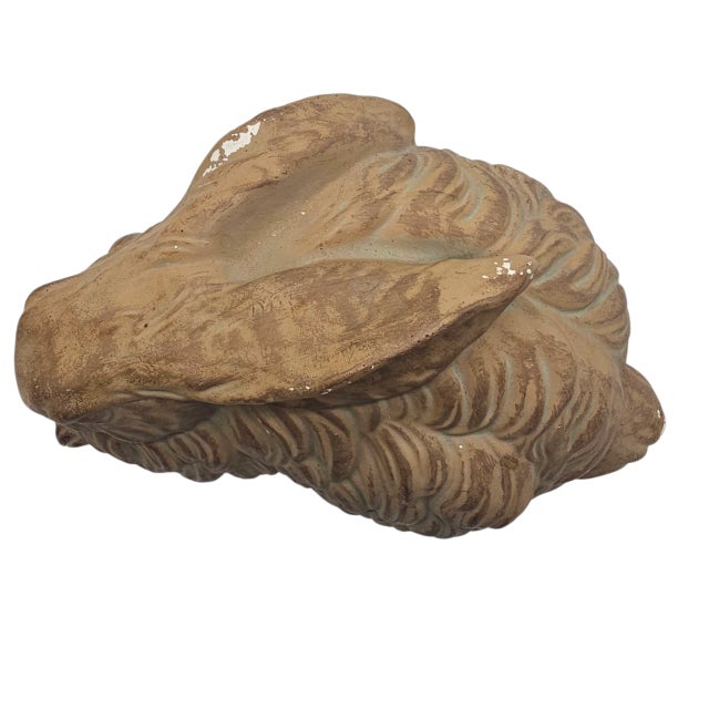 A hush falls over the garden path, and there it lies—dozing in terracotta stillness, ears draped low, as if listening to a...