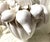 Italian 1960s White Ceramic Italian Blanc De Chine Fruit Topiary Centerpiece For Sale - Image 3 of 11
