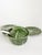 Cabbage-Shaped Soup Tureen Set, France, 1970s, Set of 9 For Sale - Image 13 of 18
