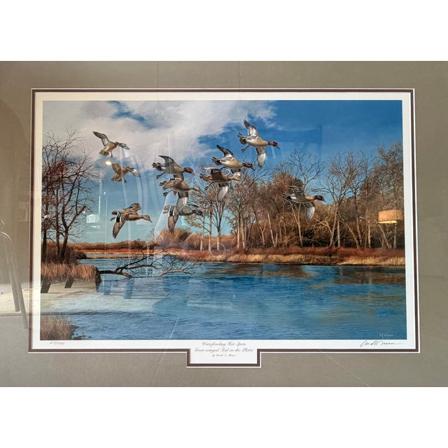 David Maas 1986 Limited Edition Print Framed Specially for Ducks Unlimited. The artwork is entitled "Green-Winged Teal on...