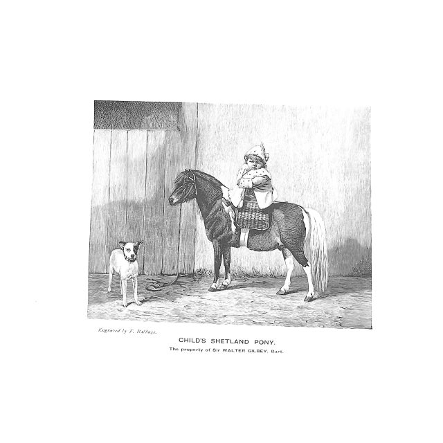 "Thoroughbred & Other Ponies" 1903 Gilbey, Sir Walter Bart. For Sale - Image 4 of 7