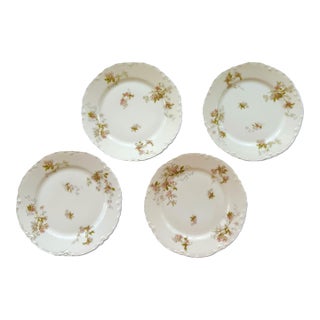 Antique Haviland French Limoges Porcelain Floral Plates - Set of 4 For Sale