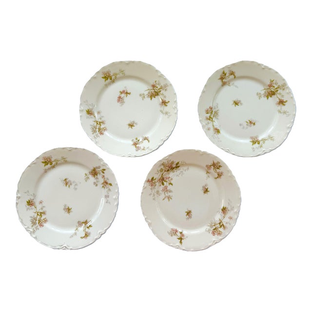 Antique Haviland French Limoges Porcelain Floral Plates - Set of 4 For Sale