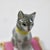 Early 20th Century Antique French La Courtille Workshop Cat on Pink Pillow Figurine For Sale - Image 5 of 10