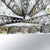 Coastal Late 20th Century Palm Beach Paradise Shell Mirror For Sale - Image 3 of 4