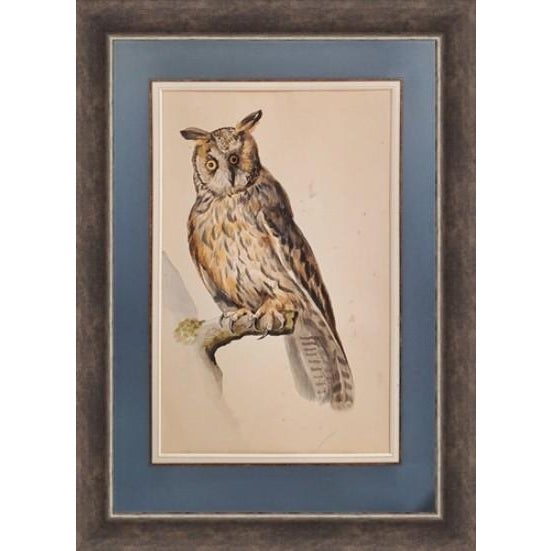 These four exquisite watercolors were hand-painted by Abraham Van Meertens (1747-1823), a celebrated figure of 18th...