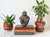 Vintage seated monkey figurine. No makers mark. Minor age wear.