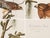 Illustration 1980s The Abbeville Press Edition of the Red-Shouldered Hawk (Plate 56) From the Birds of America by John James Audubon For Sale - Image 3 of 7