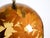 Large Italian Resin Pendant Lamp with Embedded Maple Leaves, 1970s For Sale - Image 14 of 18