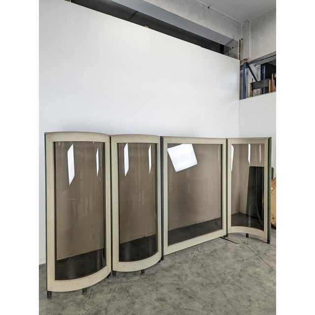 Acrylic Glass Folding Screen, 1970s, in Very Good conditions.