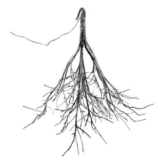 LED Flocked Twig Branch 5'H For Sale