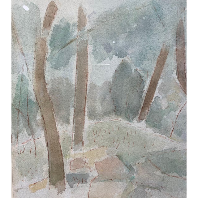 Giulio Da Milano, Undergrowth Forest, Trees, Greenery Watercolor, 1929 For Sale - Image 4 of 7
