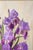 Wood Still Life Painting by French / American Artist Elizabeth Rouviere (1908-1994) For Sale - Image 7 of 12