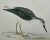 Illustration Antique Bird Print From England Showcasing a Yellow Shanks - Circa 1888 For Sale - Image 3 of 12