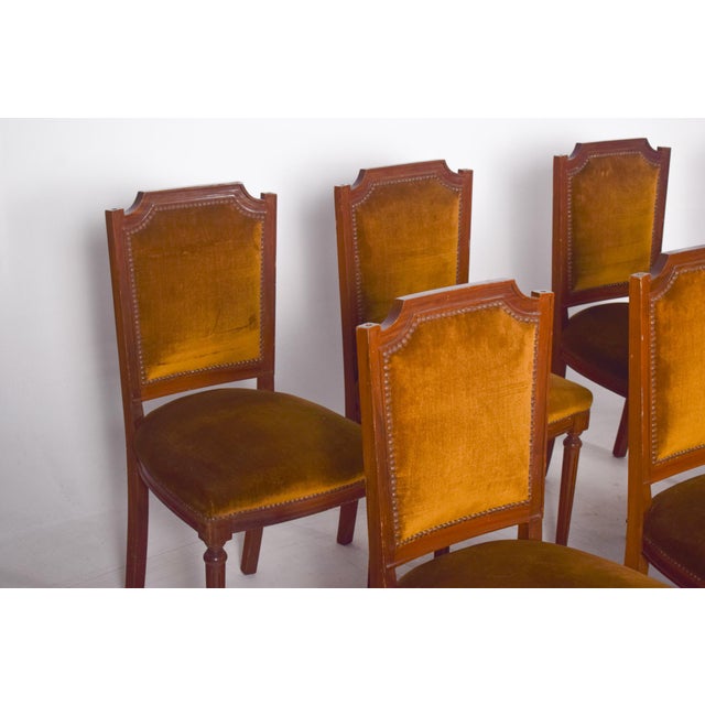 Portuguese Dining Chairs, 1950s, Set of 8 For Sale - Image 9 of 12